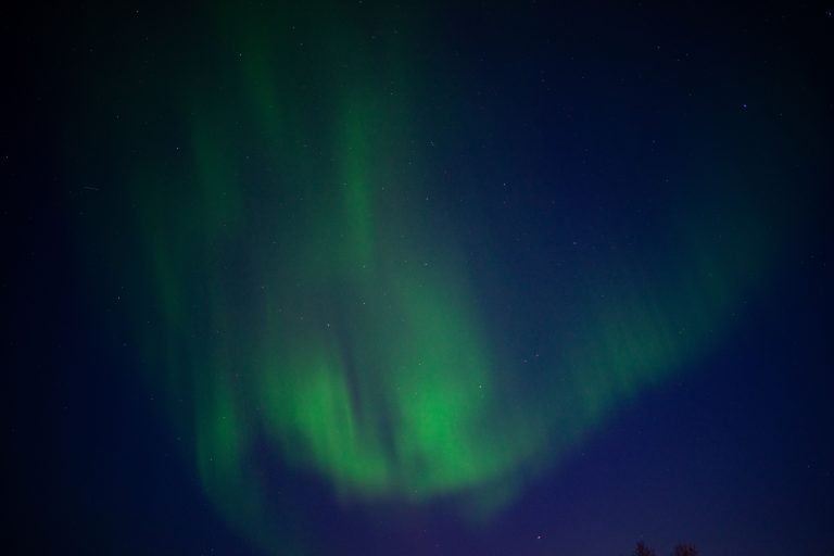 pexels-olivers-28237726 (1)