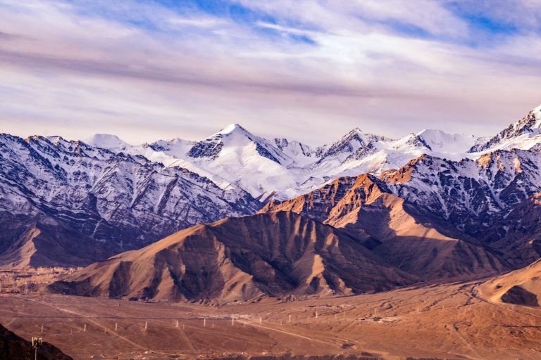 pexels-shalenderkumar-6623172