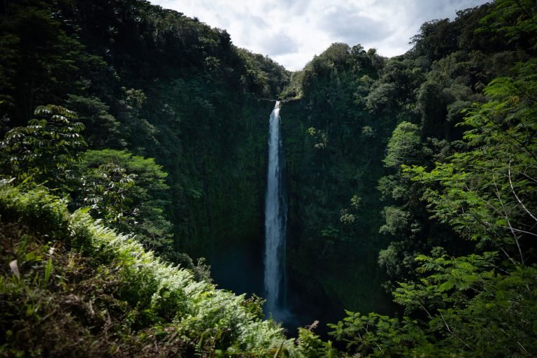 pexels-alohaphotostudio-11258362