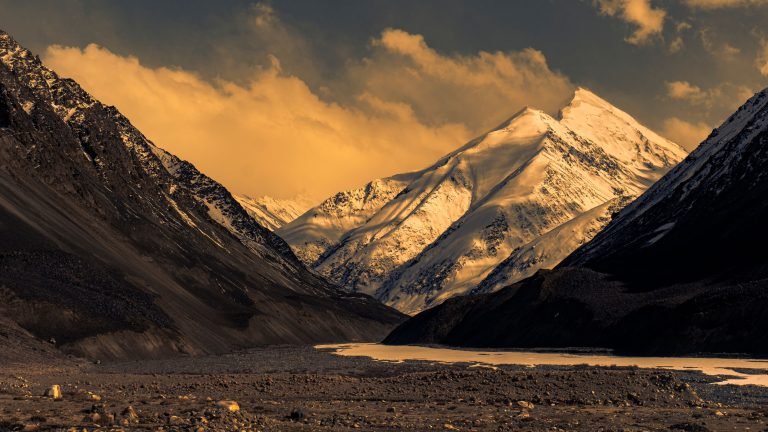 pexels-arifesapzai-35302563