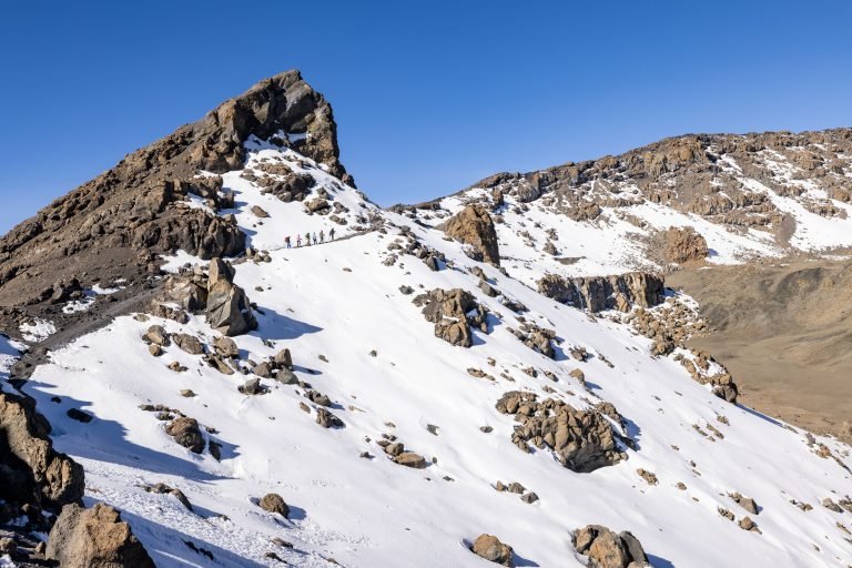 pexels-balazsimon-15994039