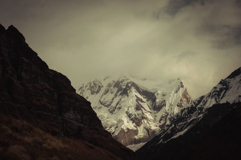 pexels-kumardulal-14663858