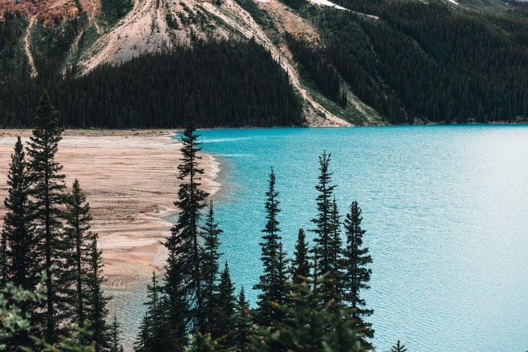 pexels-lureofadventure-27501739