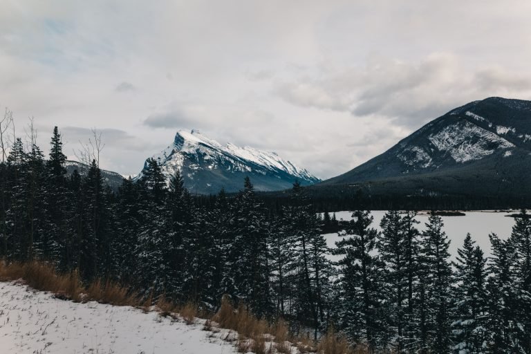 pexels-lureofadventure-31219988