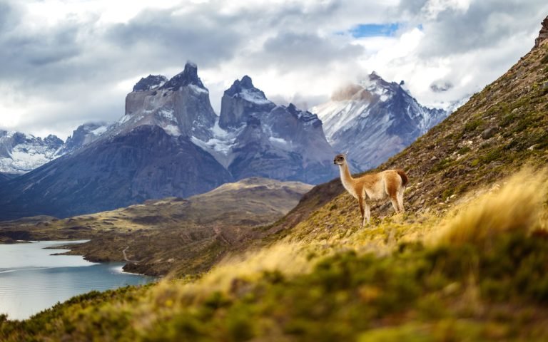 pexels-marek-piwnicki-3907296-23886065 (1)