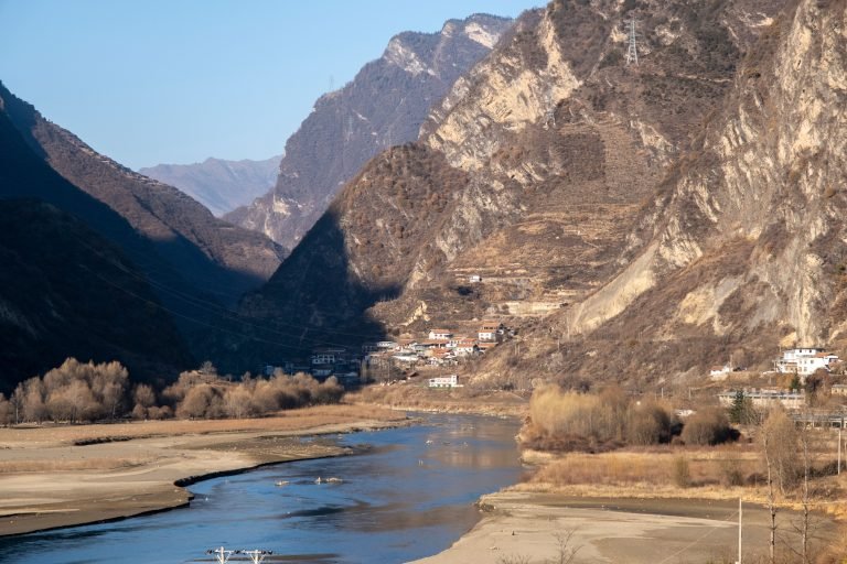 pexels-vietnamcows-29981561