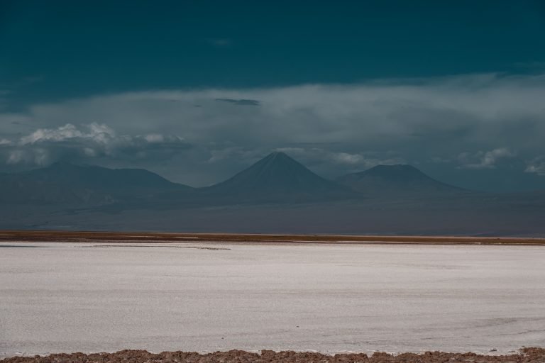 pexels-willianjusten-30807403