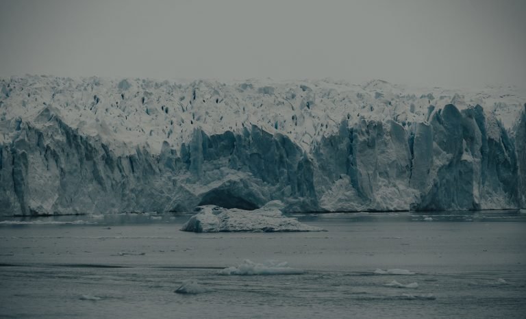pexels-gasparzaldo-13451795