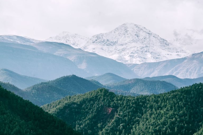 pexels-orlovamaria-4915576
